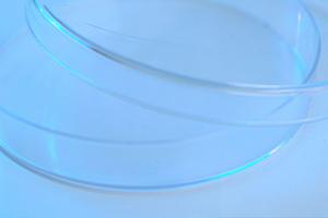 口コミによる評判は信頼できます