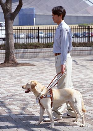 腎臓の治療を得意とする小牧市の内科