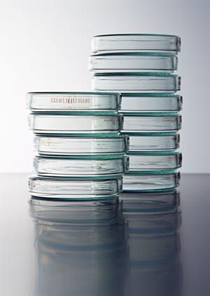 歯周病治療ならこの小平歯医者がおすすめ