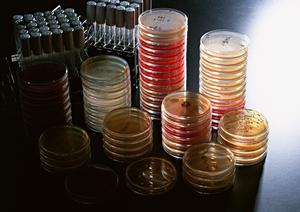 歯並びの改善に革命を！インビザラインで横浜で人気の歯科クリニックを徹底解説！